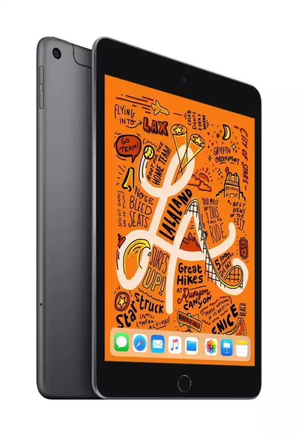 iPad mini 5 2019 7.9" 4G - Gris Sidéral - 64 